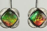 Flashy Ammolite (Fossil Ammonite Shell) Earrings with Sterling Silver #206015-1